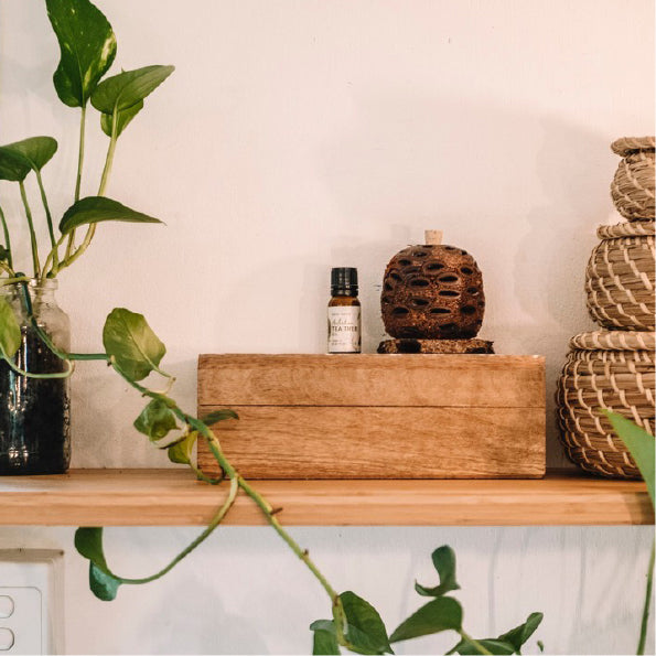 バンクシア アロマポット Mサイズ