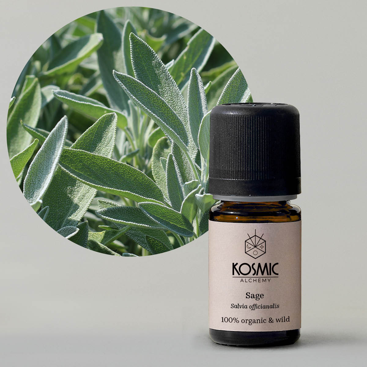 Kosmic Alchemy エッセンシャルオイル - セージ