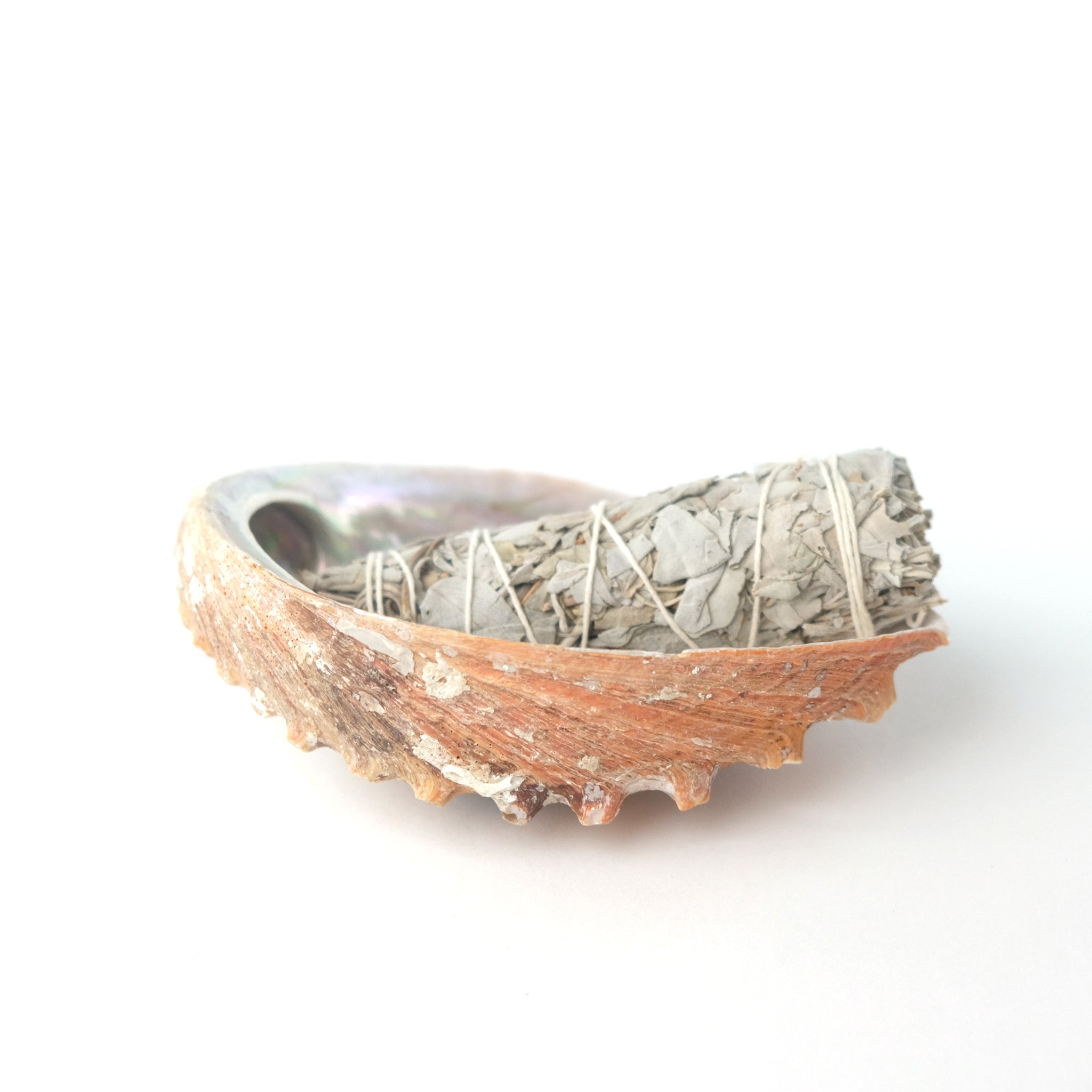 White Sage & Abalone Shell Ritual Gift Set