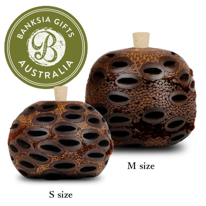 バンクシア アロマポット Mサイズ