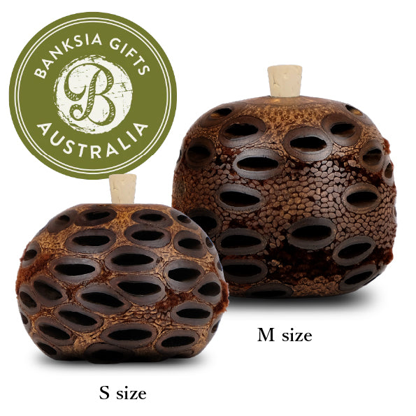 バンクシア アロマポット Sサイズ