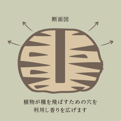 バンクシア アロマポット Sサイズ