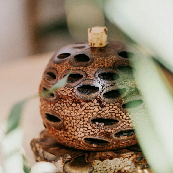 バンクシア アロマポット Sサイズ