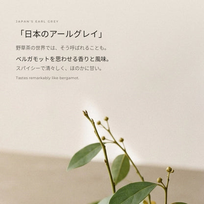 日本のアールグレイと呼ばれるクロモジ - ベルガモットを思わせる香り