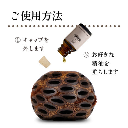 バンクシア アロマポット Mサイズ