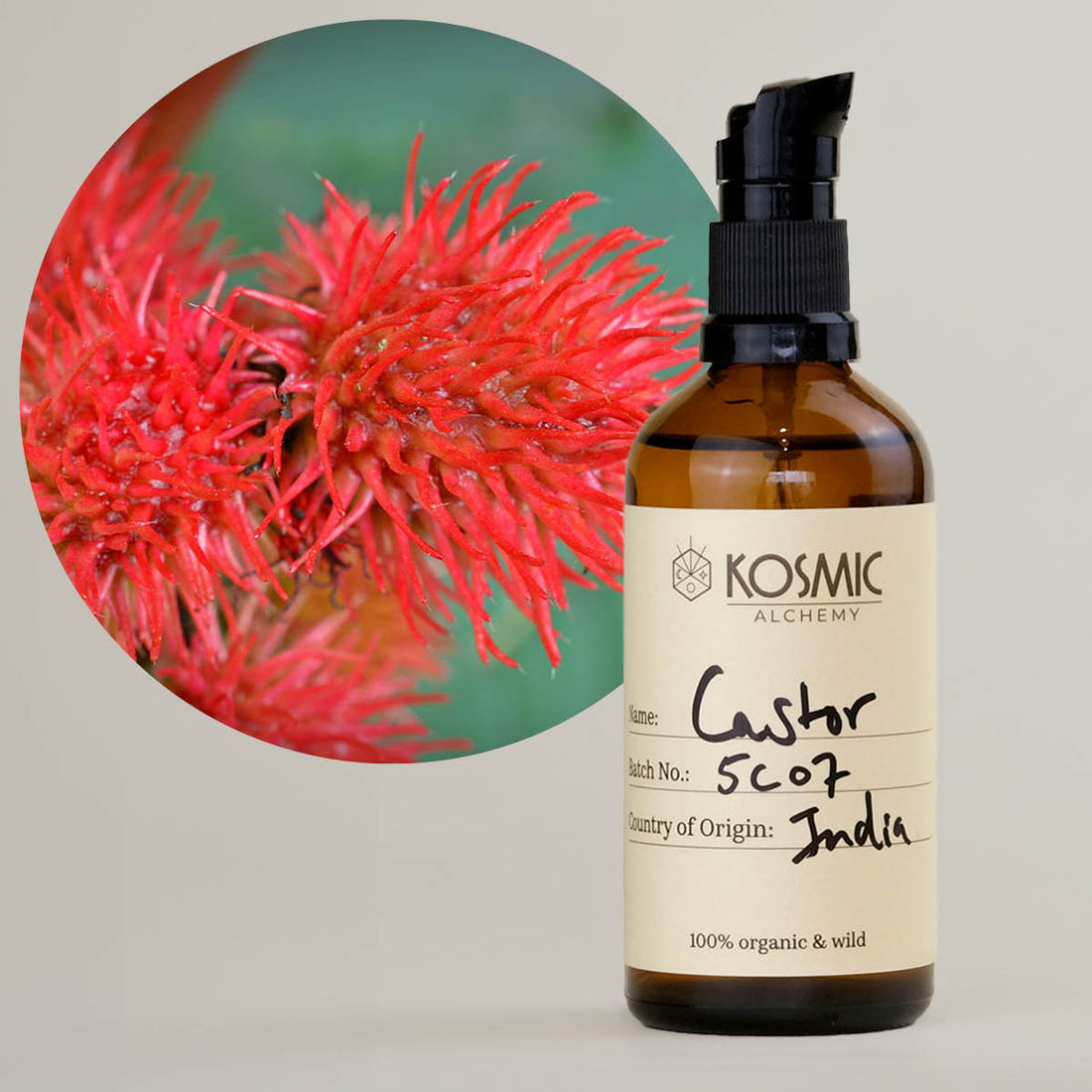 Kosmic Alchemy キャリアオイル - キャスター