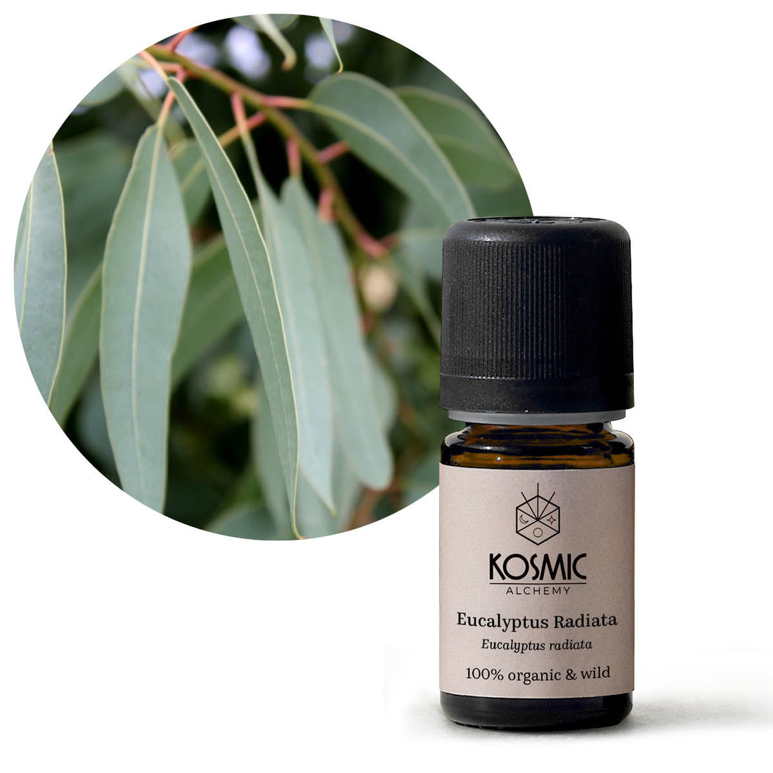 オーガニックエッセンシャルオイル- ユーカリラディアータ