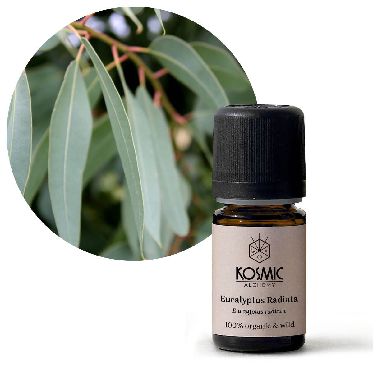 オーガニックエッセンシャルオイル- ユーカリラディアータ