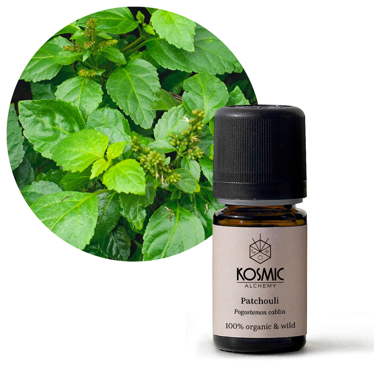 オーガニックエッセンシャルオイル-パチュリ