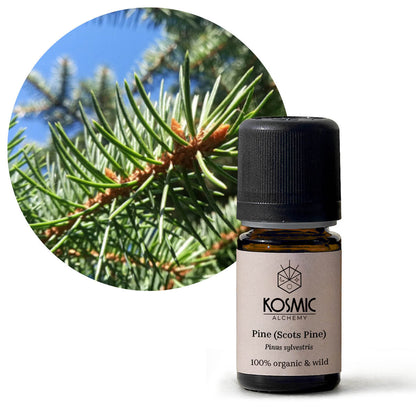 オーガニックエッセンシャルオイル-パイン（スコッツパイン）
