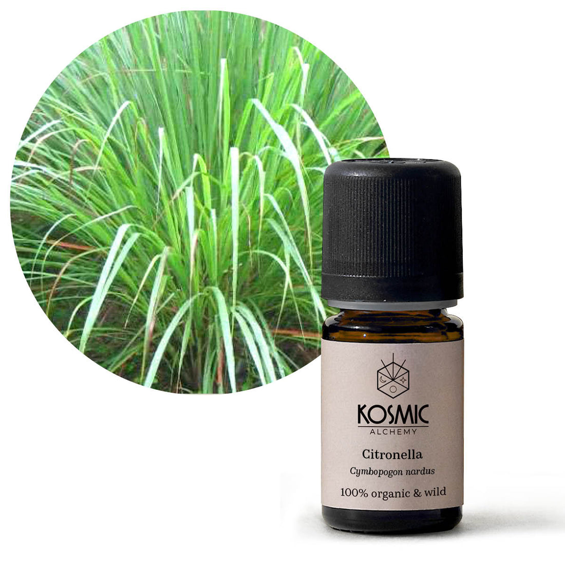 Wild Essential Oil - Citronella