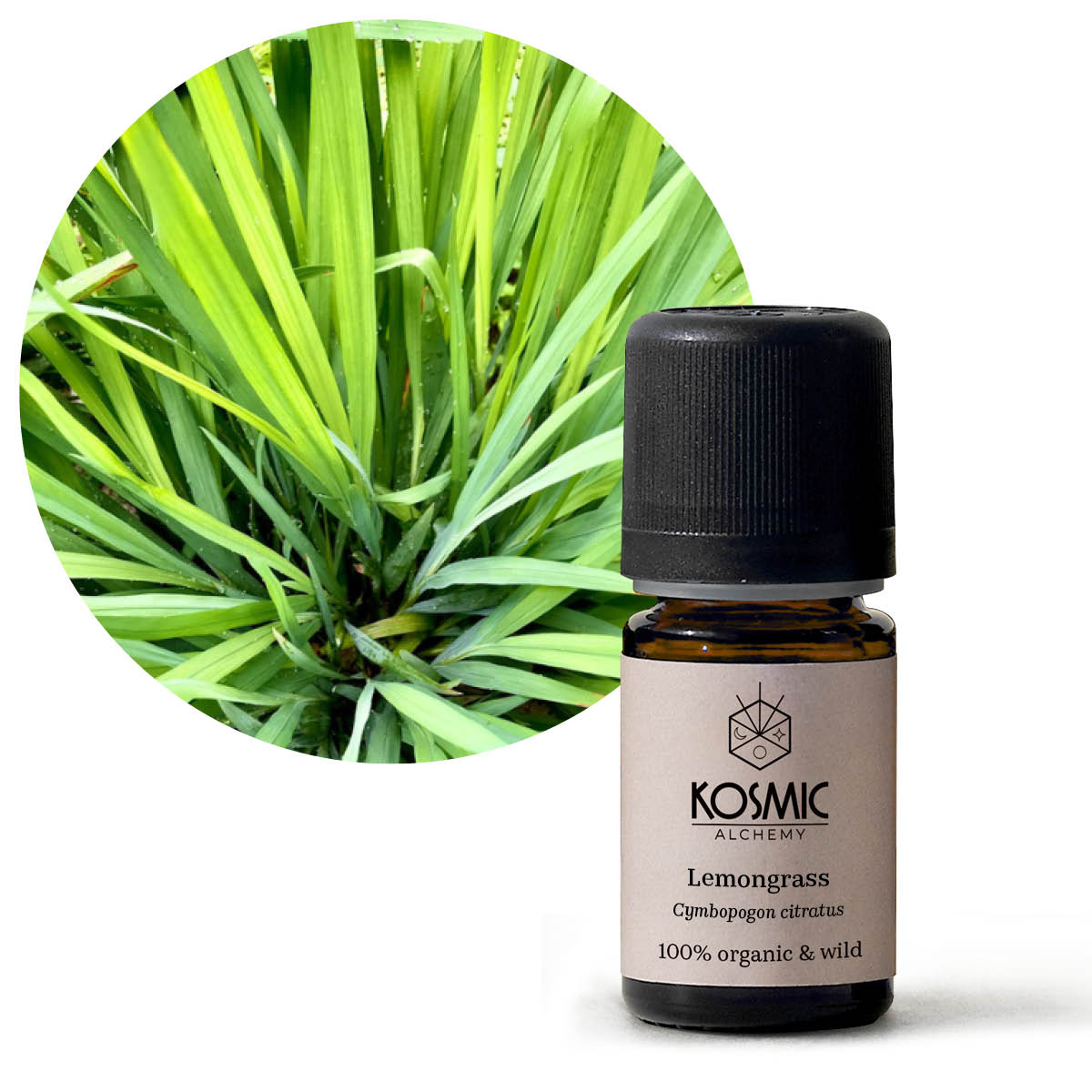 ワイルドエッセンシャルオイル-レモングラス