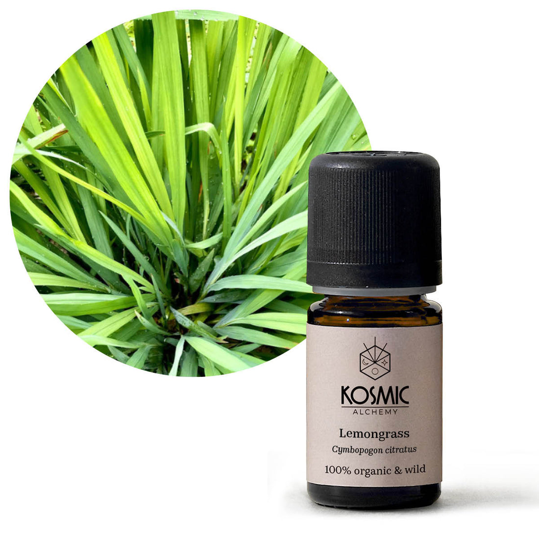 Wild Essential Oil - Lemongrass