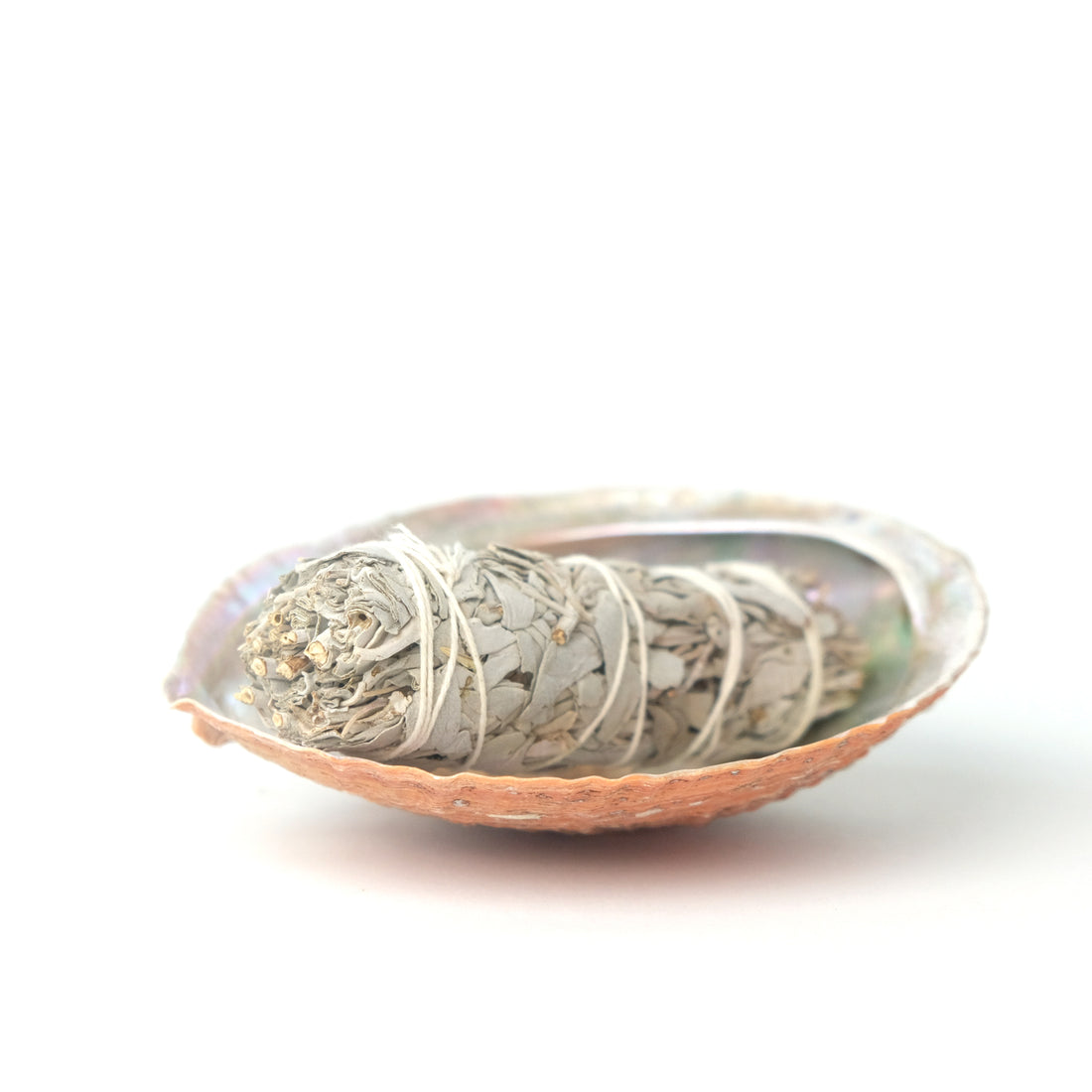 White Sage &amp; Abalone Shell Ritual Gift Set