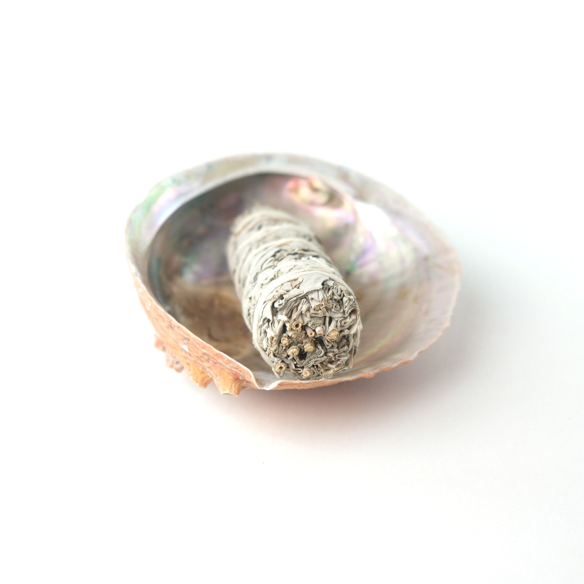 White Sage &amp; Abalone Shell Ritual Gift Set